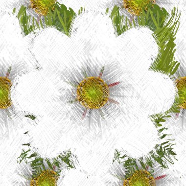 Beyaz arkaplanda güzel çiçekler