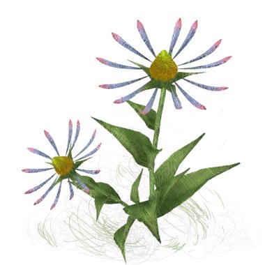 beyaz arkaplanda çiçek