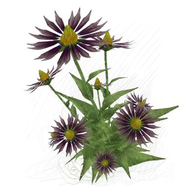 beyaz zemin üzerine suluboya çiçek