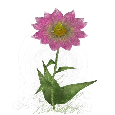 Beyaz arka planda izole çiçek