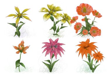 Beyaz arka planda güzel suluboya çiçekler