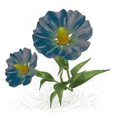 Beyaz arkaplanda güzel çiçekler