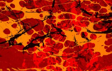 Arkaplanda soyut renkli lekeler