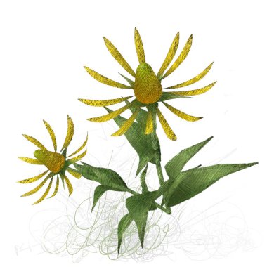 Beyaz arkaplanda izole edilmiş noel ağacı