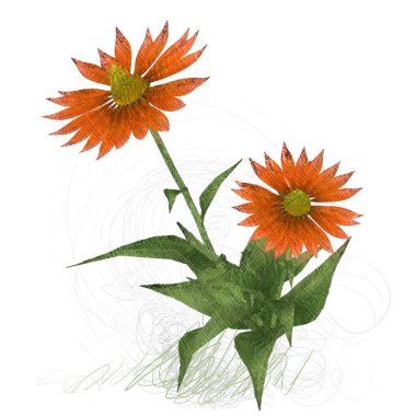 beyaz arkaplanda izole edilmiş çiçek