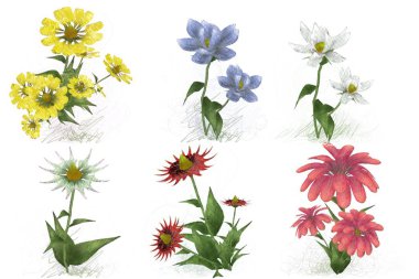 Çiçeklerle kusursuz desen