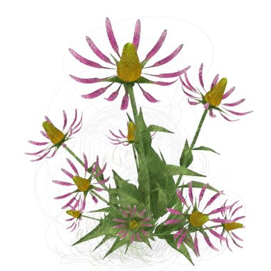 çiçekler ile suluboya çiçek