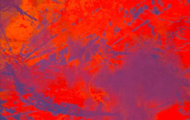 metin için alanı olan grunge arkaplanı 