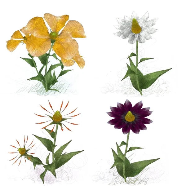 Watercolor Flowers White Background — Stock Photo, Image
