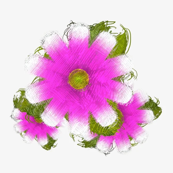 Pink Flower Isolated White Background — Stock Photo, Image