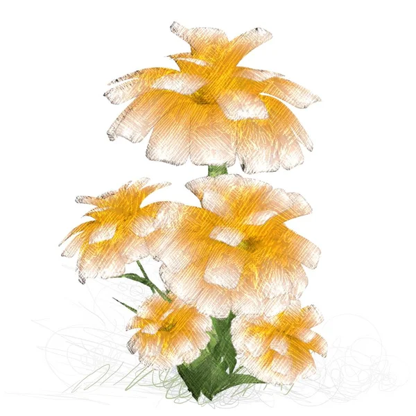 Aquarell Blumen Auf Weißem Hintergrund — Stockfoto