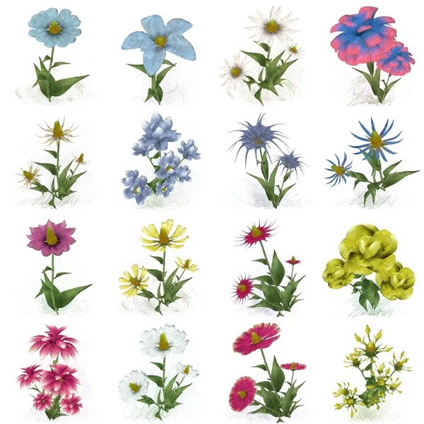 Beyaz Arka Planda Güzel Suluboya Çiçekler — Stok fotoğraf