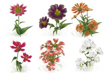 Beyaz arka planda suluboya çiçekler seti