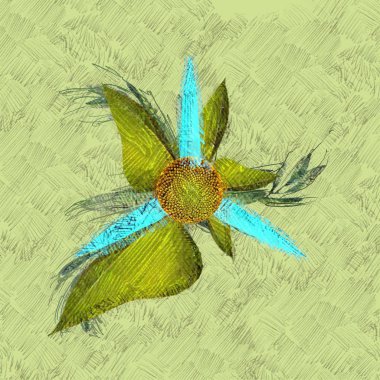 beyaz bir arka plan üzerinde renkli çiçek