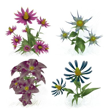 Beyaz arkaplanda güzel çiçekler