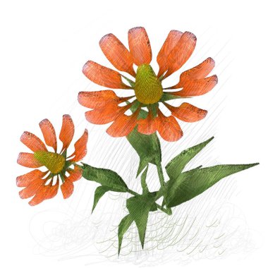 Beyaz arkaplanda güzel çiçekler