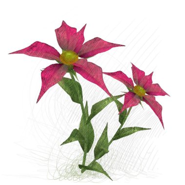 kırmızı gül beyaz arkaplanda izole