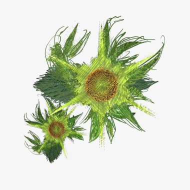 Beyaz arkaplanda izole edilmiş noel ağacı