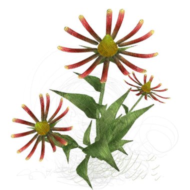 beyaz zemin üzerine suluboya çiçek