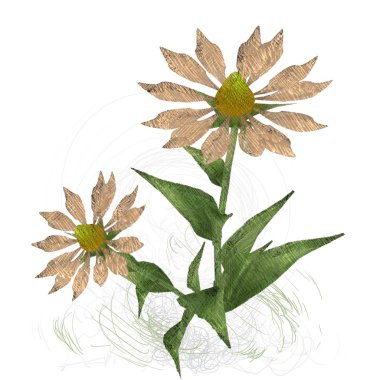 beyaz arkaplanda izole edilmiş çiçek