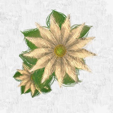 beyaz arkaplanda yeşil yapraklar