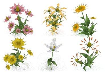 Beyaz arkaplanda güzel çiçekler