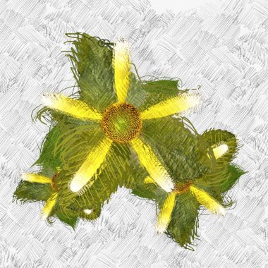 Beyaz arkaplanda sonbahar yaprakları