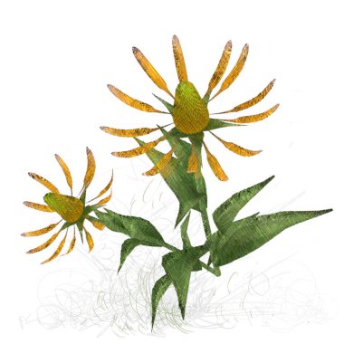 Beyaz arka planda izole dağınık grungy çiçekler