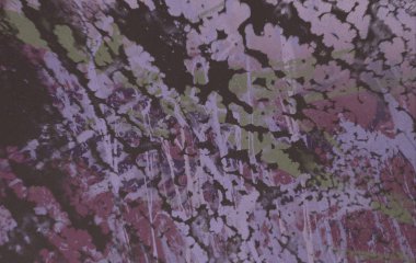 metin için alanı olan grunge arkaplanı       