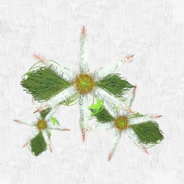 Dekoratif çiçek resmi. Çiçek İllüstrasyon. Vintage botanik sanat. El yapımı çizim.