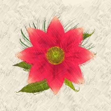 Kırmızı çiçek buketi