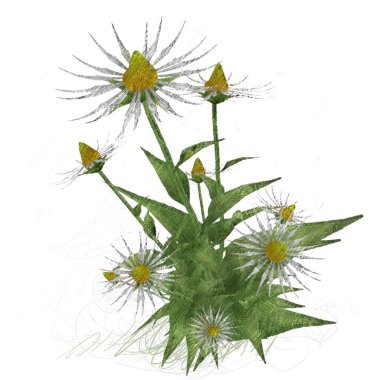 Beyaz arkaplanda izole edilmiş noel ağacı