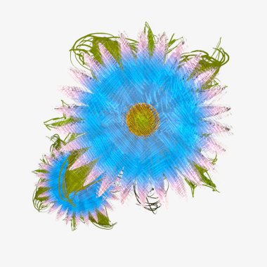 Beyaz renkli çiçek