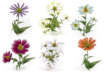 beyaz zemin üzerine suluboya çiçek