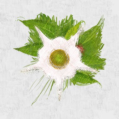 yaprakları ile el çizilmiş suluboya elemanları