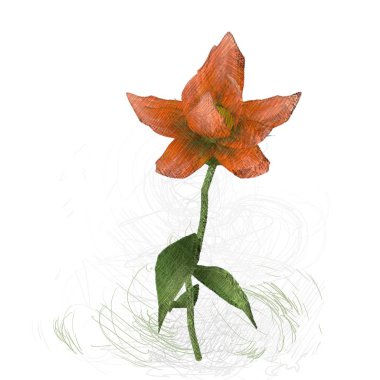 beyaz zemin üzerine kırmızı yaprakları