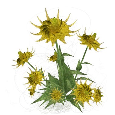 Beyaz arka planda izole dağınık grungy çiçekler