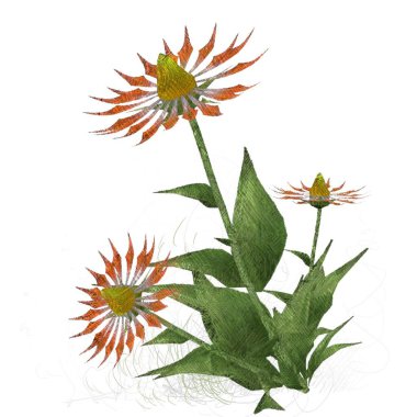 beyaz zemin üzerine suluboya çiçek