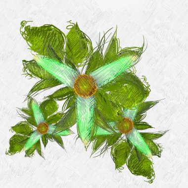 beyaz arkaplanda yeşil yapraklar