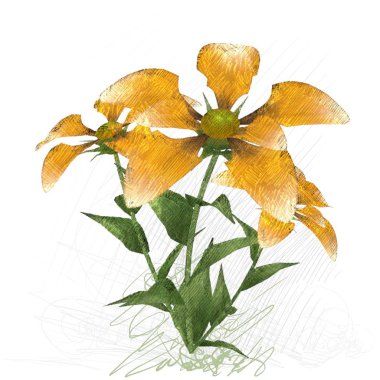 Beyaz arka planda izole dağınık grungy çiçekler