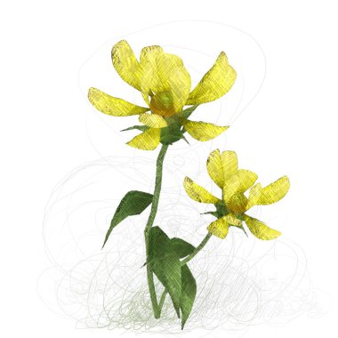 beyaz zemin üzerine suluboya çiçek