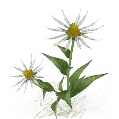 Beyaz arkaplanda izole edilmiş noel ağacı