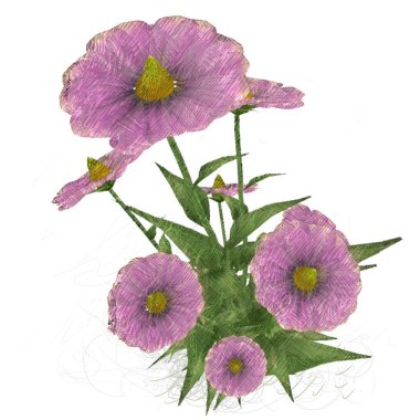 Beyaz arkaplanda izole edilmiş pembe çiçek