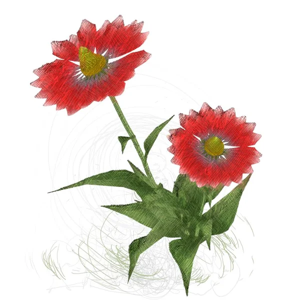 Akvarell Blommor Vit Bakgrund — Stockfoto