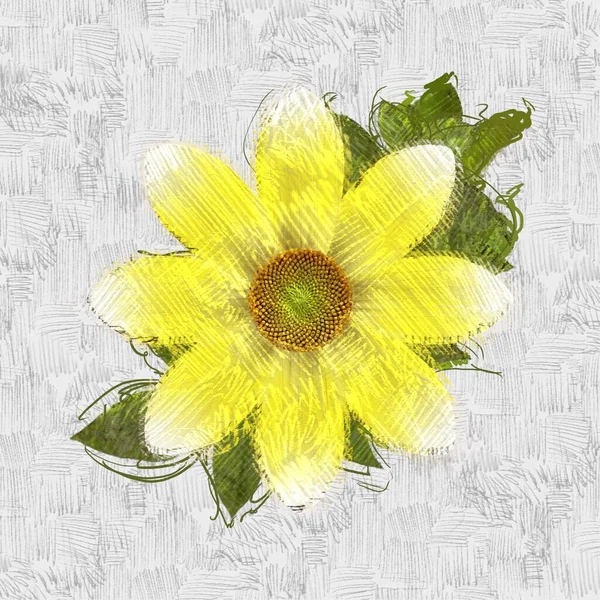 Flores Amarillas Sobre Fondo Blanco —  Fotos de Stock