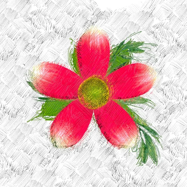 Rode Bloemen Een Houten Achtergrond — Stockfoto