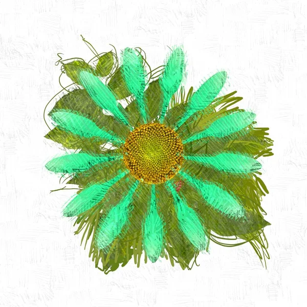 Színes Virág Textúra Háttér — Stock Fotó