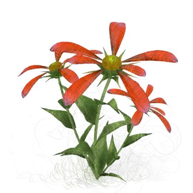 beyaz zemin üzerine kırmızı yaprakları