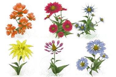 Beyaz arkaplanda güzel çiçekler