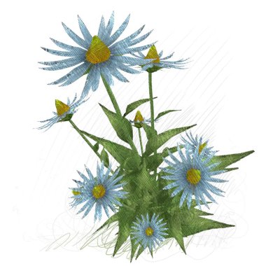 Çiçeklerin vektör illüstrasyonu